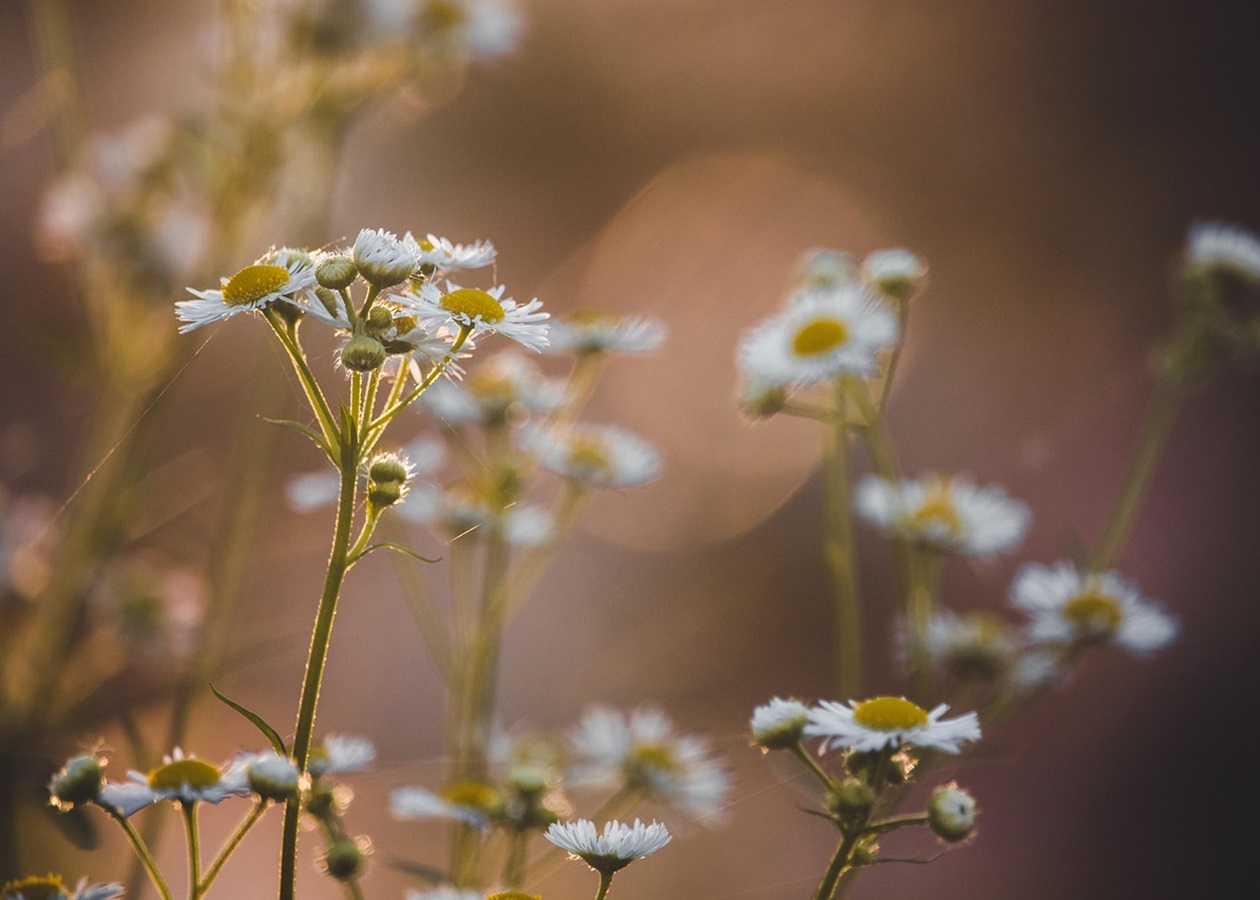Гороскоп для всіх знаків зодіаку на вихідні 6-7 вересня 2025 року