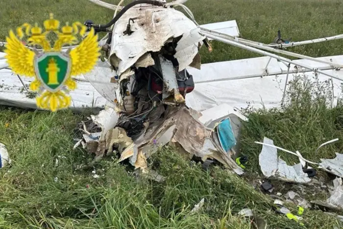 У Рязанській області розбився легкомоторний літак: пілот загинув (фото)