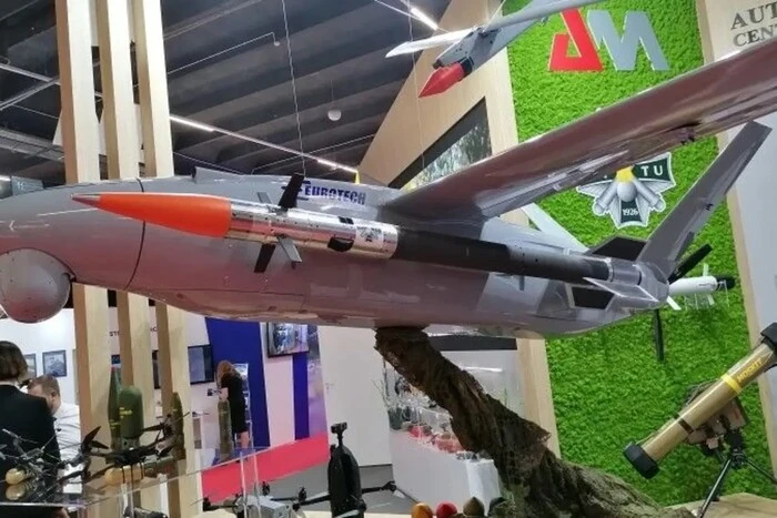 Польща розробила антидронові ракети, які можна запускати з безпілотників (фото)