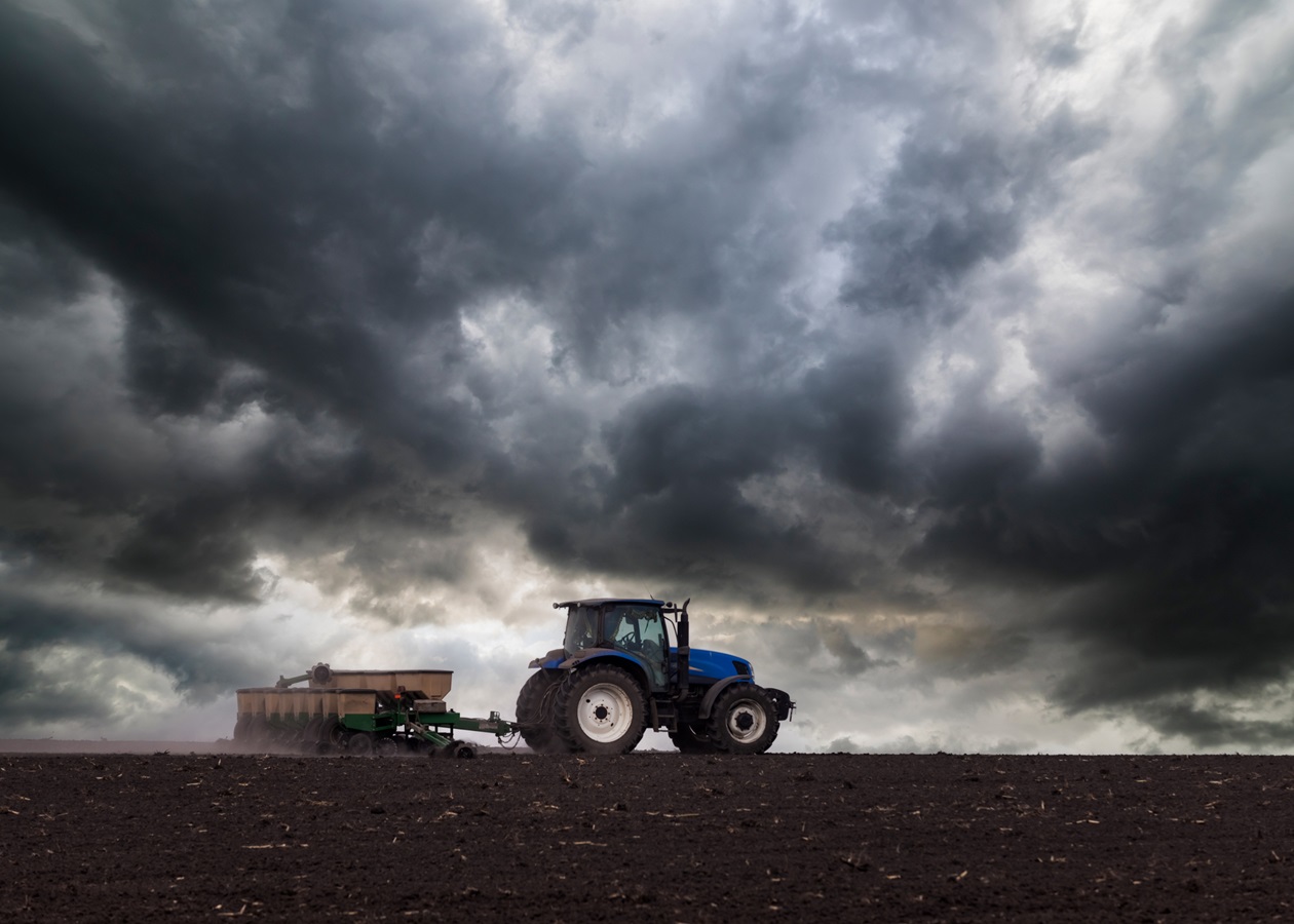 Українські аграрії засіяли 74% озимих культур