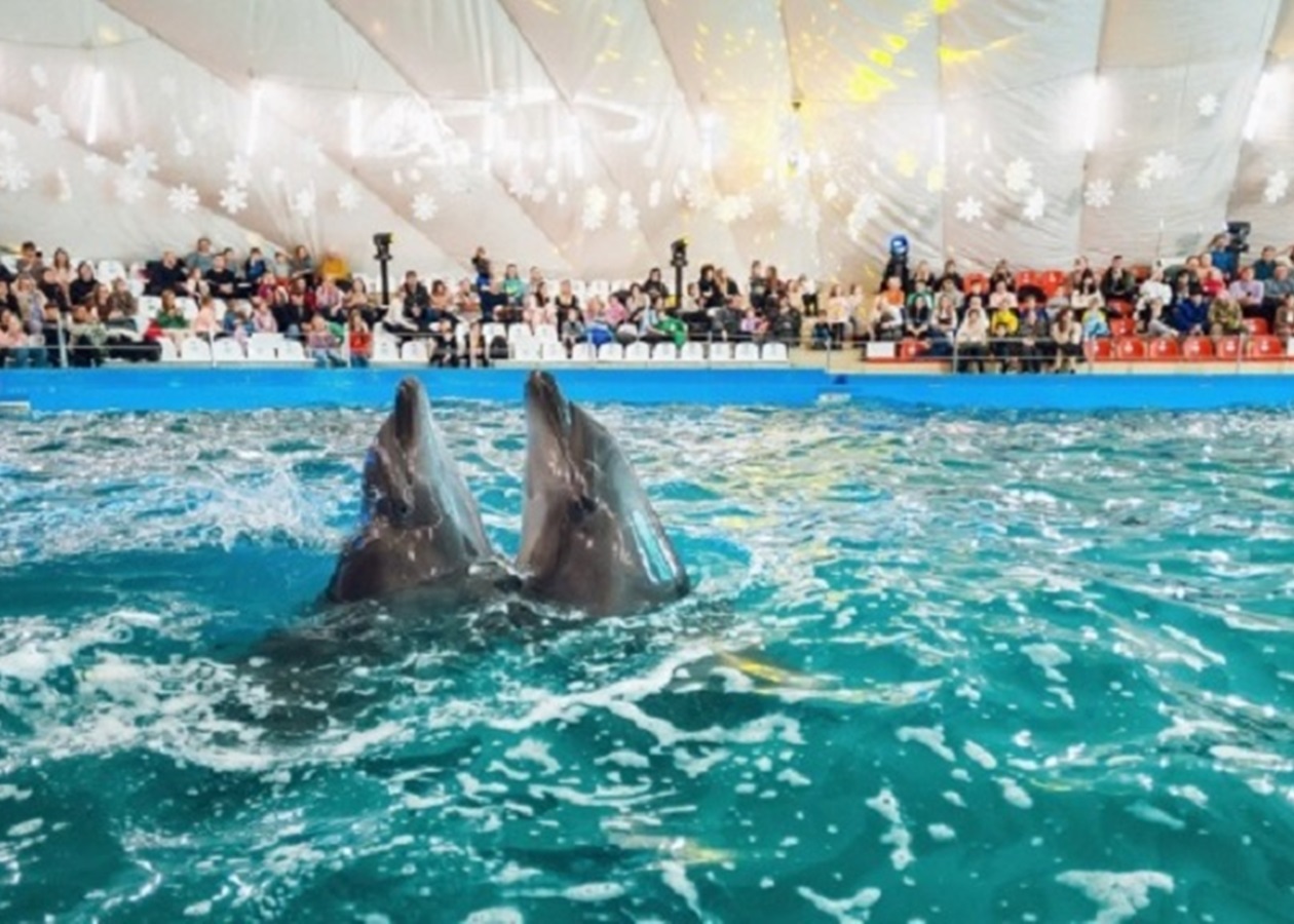 В Одесі будівлю дельфінарію Немо арештували за борги