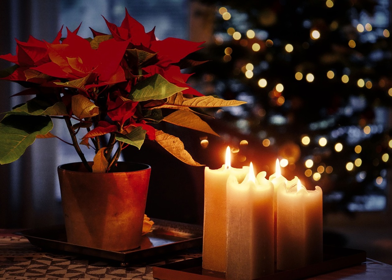 Гороскоп для всіх знаків зодіаку на 3 грудня 2025 року