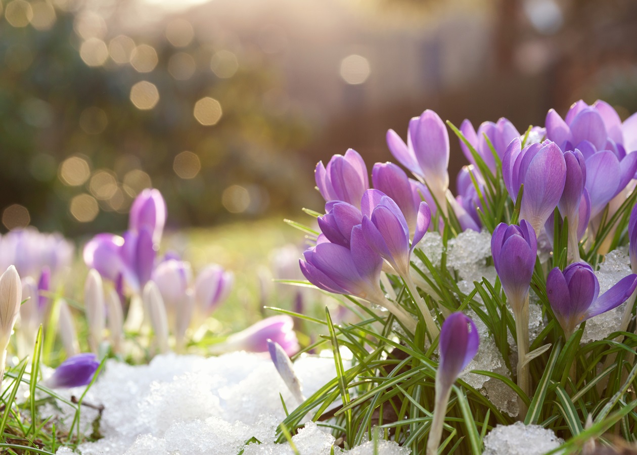 Сухо, місцями до +17°: погода на початку тижня