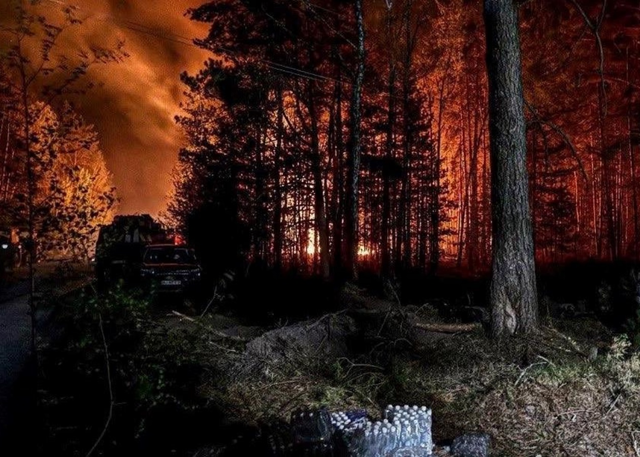 У Зоні відчуження триває ліквідація лісової пожежі