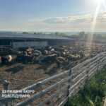 Викрито схему привласнення коштів в Держпродспоживслужбі